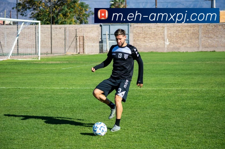 新葡京娱乐平台生态图